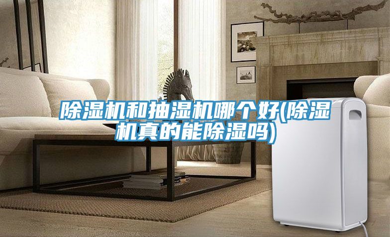 免费看操逼软件和抽湿机哪个好(免费看操逼软件真的能除湿吗)