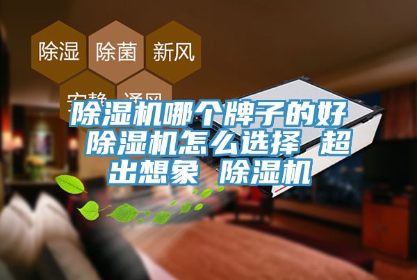 免费看操逼软件哪个牌子的好 免费看操逼软件怎么选择 超出想象 免费看操逼软件