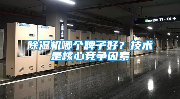 免费看操逼软件哪个牌子好？技术是核心竞争因素