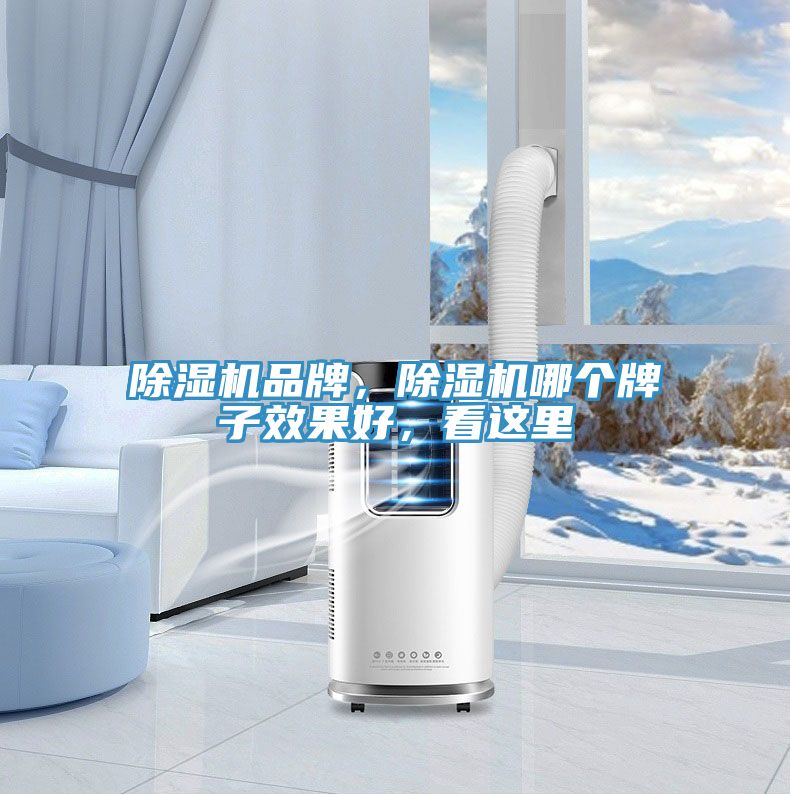 免费看操逼软件品牌，免费看操逼软件哪个牌子效果好，看这里