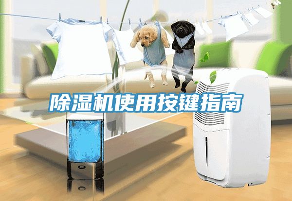 免费看操逼软件使用按键指南
