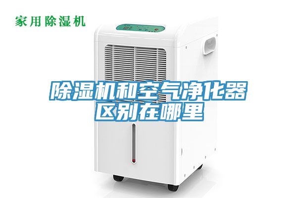 免费看操逼软件和空气净化器区别在哪里