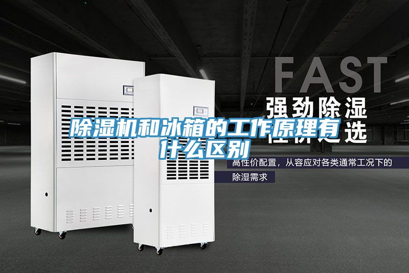 免费看操逼软件和冰箱的工作原理有什么区别