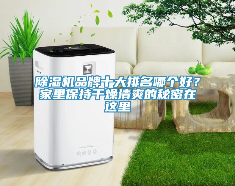 免费看操逼软件品牌十大排名哪个好？家里保持干燥清爽的秘密在这里