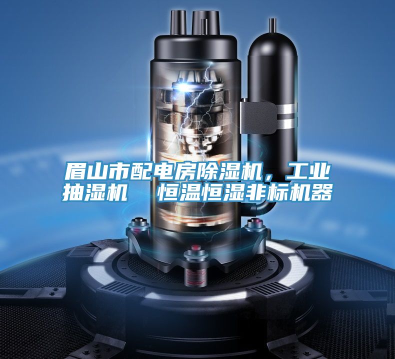眉山市配电房免费看操逼软件，工业抽湿机  恒温恒湿非标机器