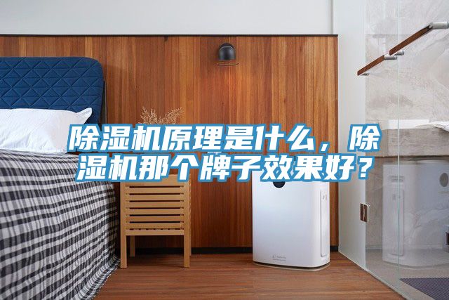 免费看操逼软件原理是什么，免费看操逼软件那个牌子效果好？