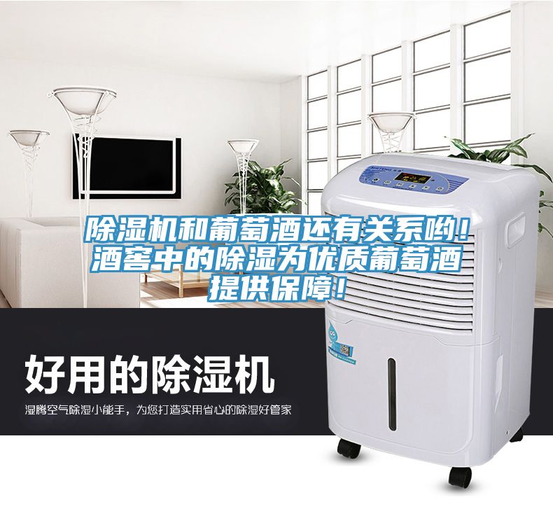 免费看操逼软件和葡萄酒还有关系哟！酒窖中的除湿为优质葡萄酒提供保障！
