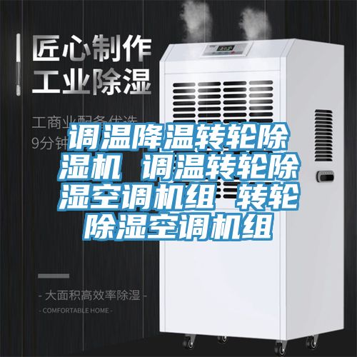 调温降温转轮免费看操逼软件 调温转轮除湿空调机组 转轮除湿空调机组