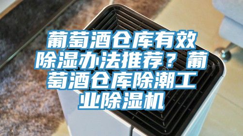 葡萄酒仓库有效除湿办法推荐？葡萄酒仓库除潮工业免费看操逼软件