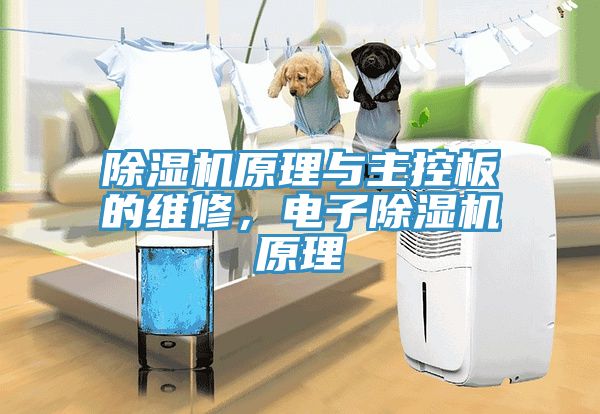 免费看操逼软件原理与主控板的维修，电子免费看操逼软件原理