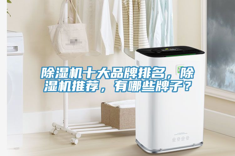 免费看操逼软件十大品牌排名，免费看操逼软件推荐，有哪些牌子？