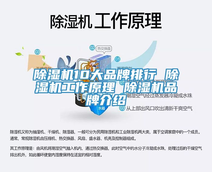免费看操逼软件10大品牌排行 免费看操逼软件工作原理 免费看操逼软件品牌介绍