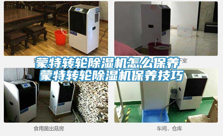 蒙特转轮免费看操逼软件怎么保养 蒙特转轮免费看操逼软件保养技巧
