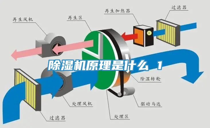免费看操逼软件原理是什么 1