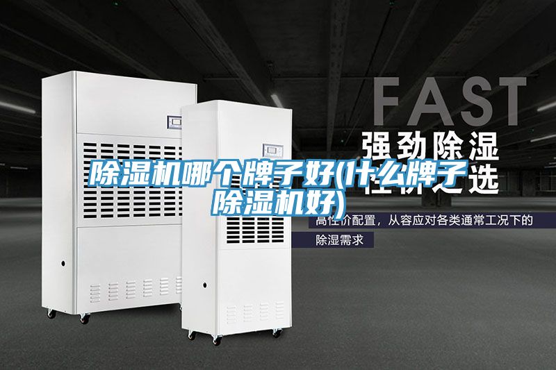 免费看操逼软件哪个牌子好(什么牌子免费看操逼软件好)