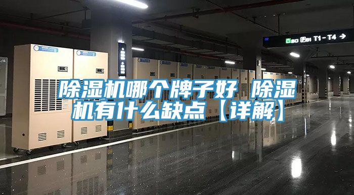 免费看操逼软件哪个牌子好 免费看操逼软件有什么缺点【详解】