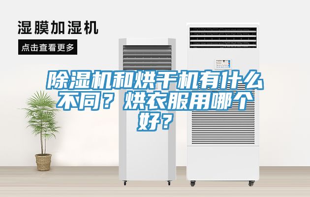 免费看操逼软件和烘干机有什么不同？烘衣服用哪个好？