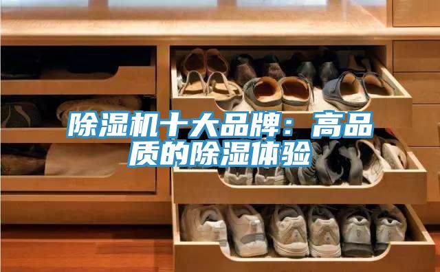 免费看操逼软件十大品牌：高品质的除湿体验
