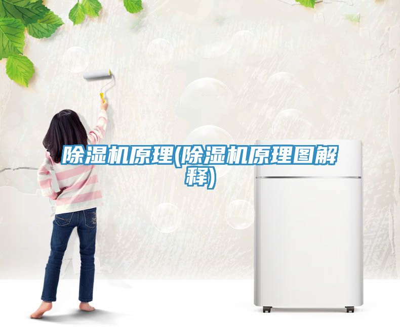 免费看操逼软件原理(免费看操逼软件原理图解释)