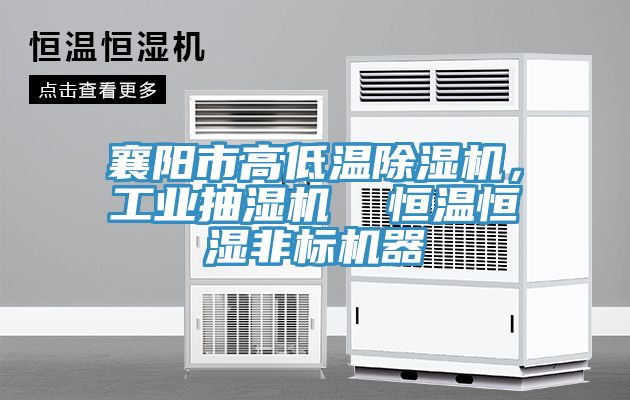 襄阳市高低温免费看操逼软件，工业抽湿机  恒温恒湿非标机器