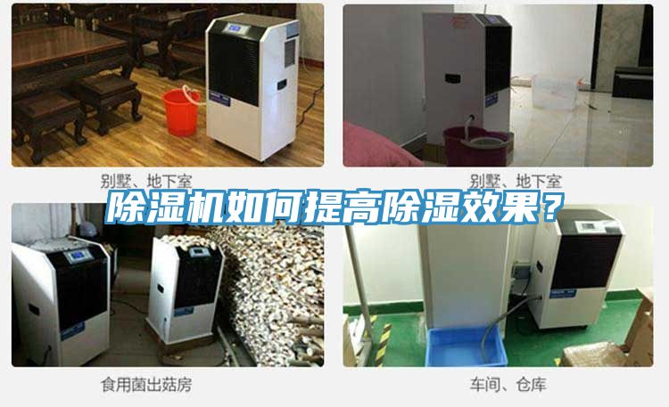 免费看操逼软件如何提高除湿效果？