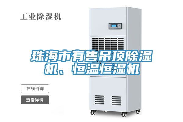 珠海市有售吊顶免费看操逼软件、恒温恒湿机