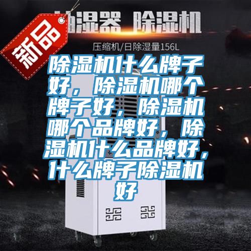 免费看操逼软件什么牌子好，免费看操逼软件哪个牌子好，免费看操逼软件哪个品牌好，免费看操逼软件什么品牌好，什么牌子免费看操逼软件好