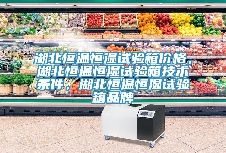 湖北恒温恒湿试验箱价格，湖北恒温恒湿试验箱技术条件，湖北恒温恒湿试验箱品牌