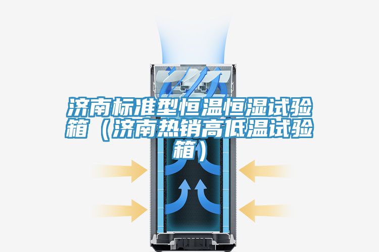 济南标准型恒温恒湿试验箱（济南热销高低温试验箱）