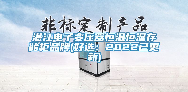 湛江电子变压器恒温恒湿存储柜品牌(好选：2022已更新)