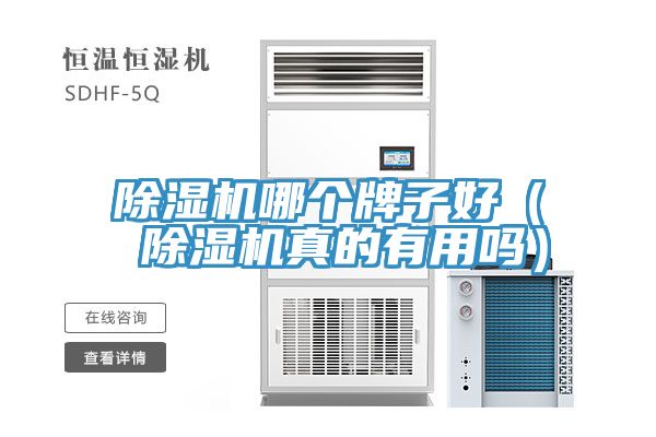 免费看操逼软件哪个牌子好（ 免费看操逼软件真的有用吗）