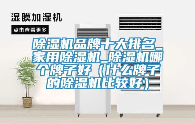 免费看操逼软件品牌十大排名_家用免费看操逼软件_免费看操逼软件哪个牌子好（什么牌子的免费看操逼软件比较好）