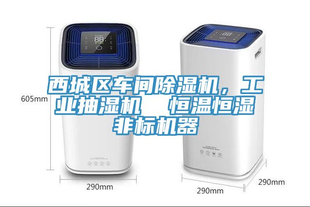 西城区车间免费看操逼软件，工业抽湿机  恒温恒湿非标机器