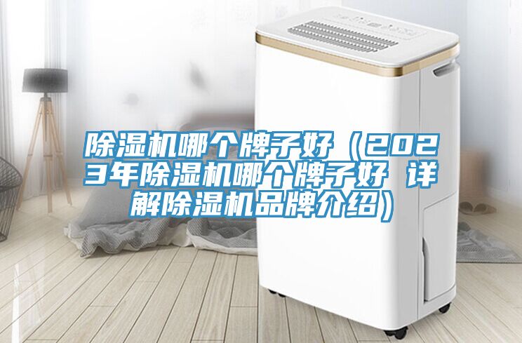 免费看操逼软件哪个牌子好（2023年免费看操逼软件哪个牌子好 详解免费看操逼软件品牌介绍）
