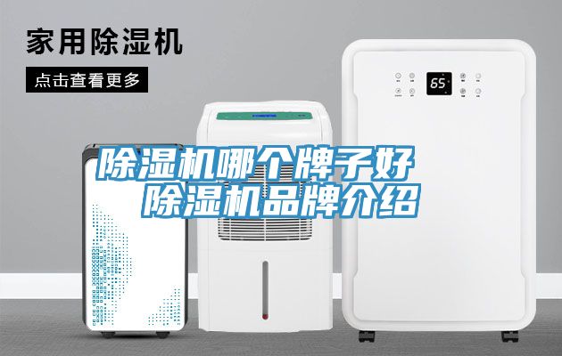 免费看操逼软件哪个牌子好  免费看操逼软件品牌介绍