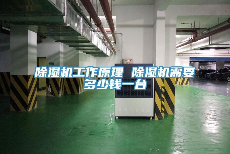 免费看操逼软件工作原理 免费看操逼软件需要多少钱一台