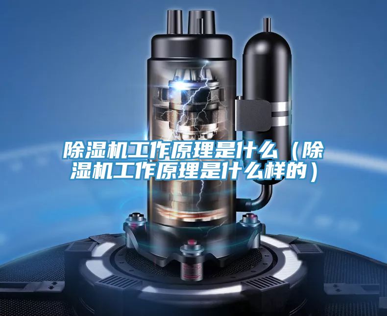 免费看操逼软件工作原理是什么（免费看操逼软件工作原理是什么样的）