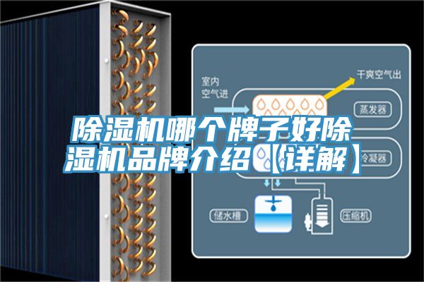 免费看操逼软件哪个牌子好免费看操逼软件品牌介绍【详解】