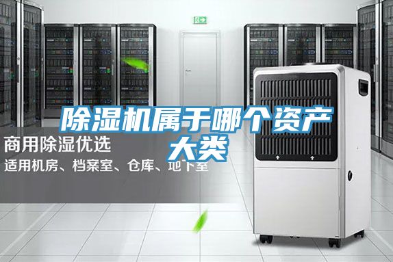 免费看操逼软件属于哪个资产大类