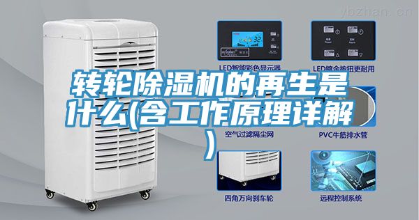转轮免费看操逼软件的再生是什么(含工作原理详解)