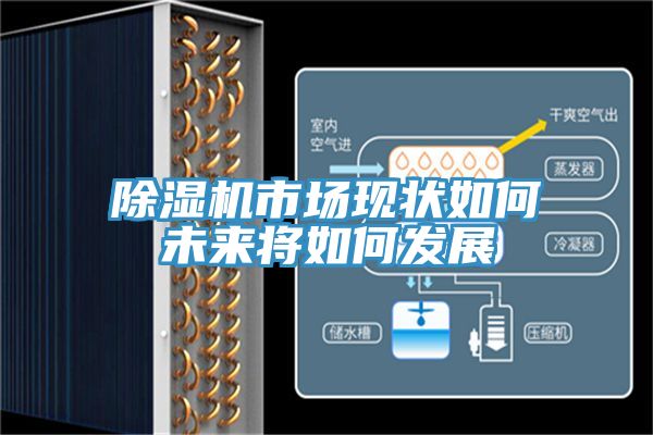 免费看操逼软件市场现状如何未来将如何发展