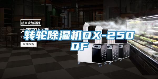 转轮免费看操逼软件DX-2500F