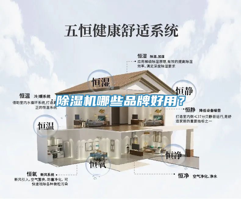 免费看操逼软件哪些品牌好用？