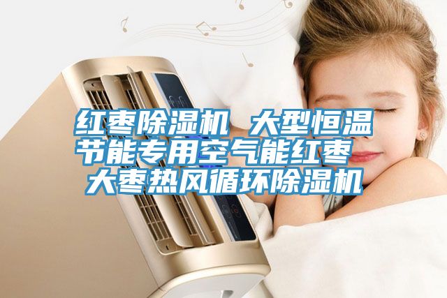 红枣免费看操逼软件 大型恒温节能专用空气能红枣 大枣热风循环免费看操逼软件