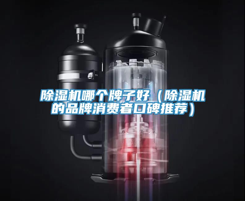 免费看操逼软件哪个牌子好（免费看操逼软件的品牌消费者口碑推荐）