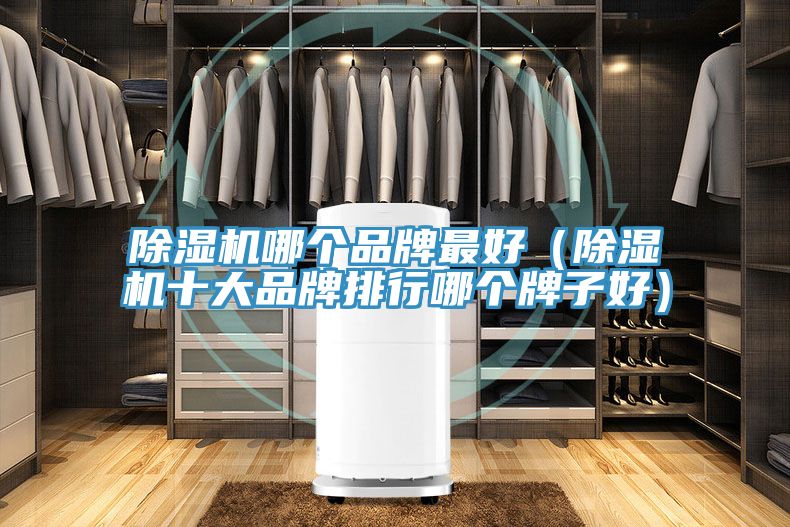 免费看操逼软件哪个品牌最好（免费看操逼软件十大品牌排行哪个牌子好）