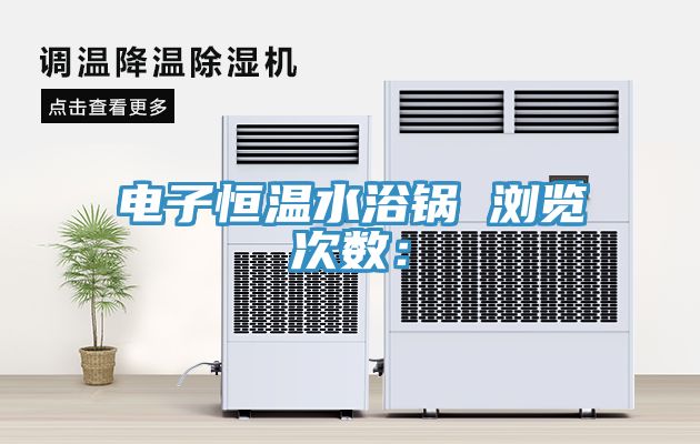 电子恒温水浴锅　　浏览次数：
