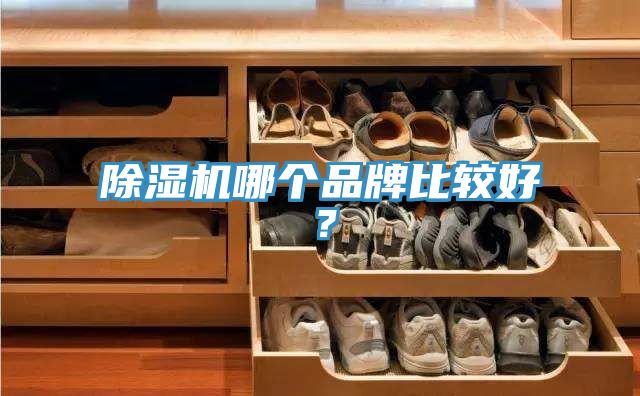 免费看操逼软件哪个品牌比较好？