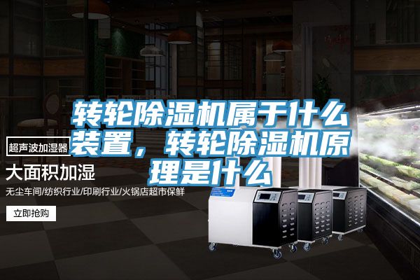 转轮免费看操逼软件属于什么装置，转轮免费看操逼软件原理是什么