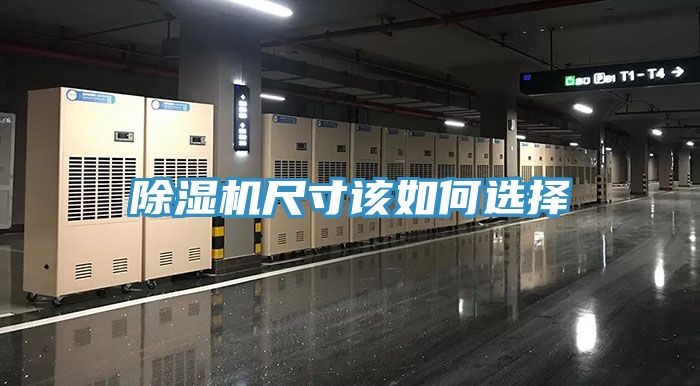 免费看操逼软件尺寸该如何选择